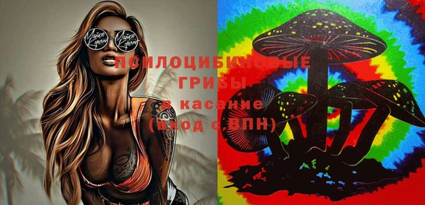 а пвп мука Алексеевка