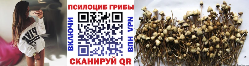 хочу наркоту площадка состав Галлюциногенные грибы GOLDEN TEACHER Первоуральск